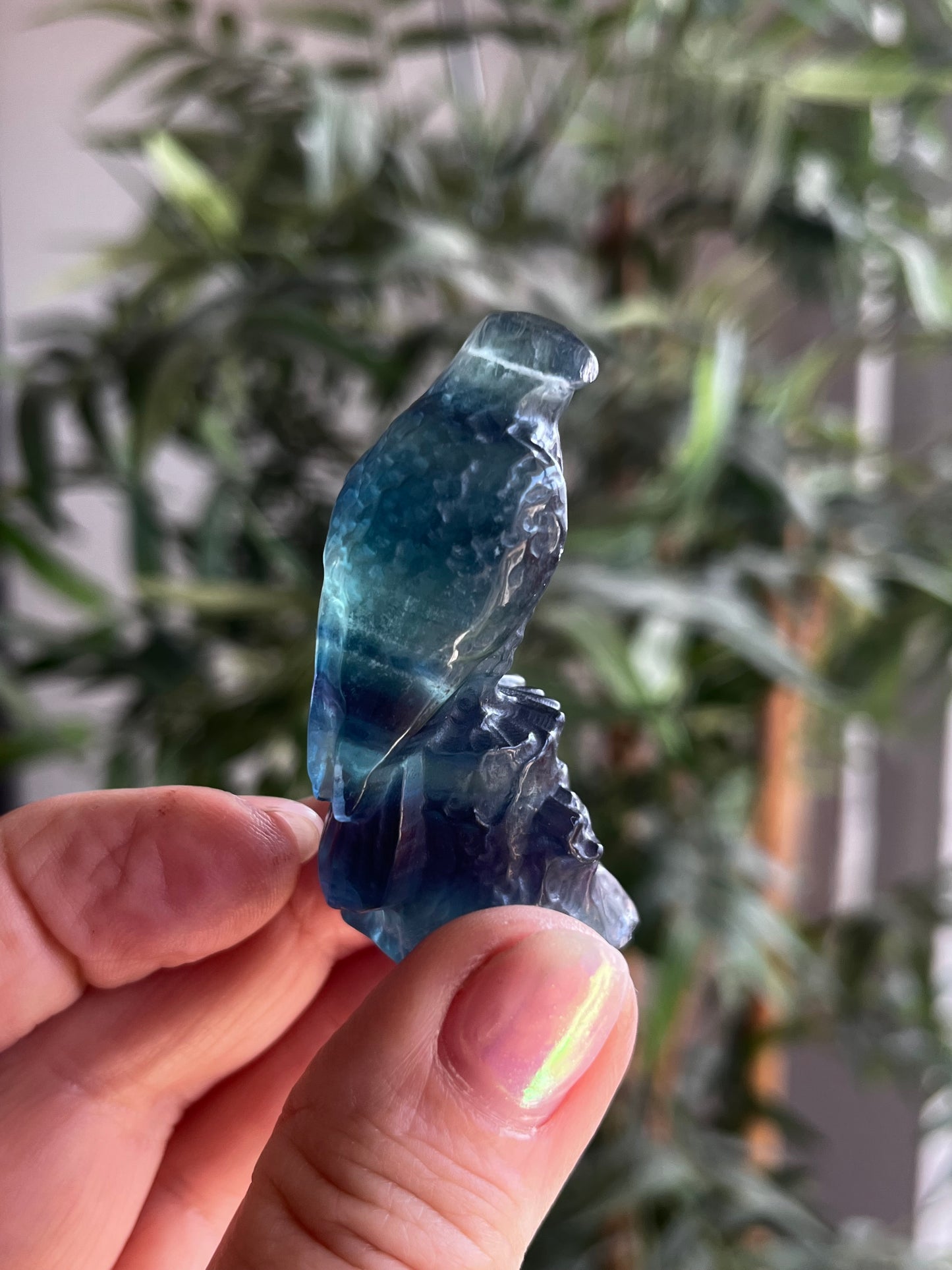 Fluorite aigle sur socle AAA 5.5cm 35eur