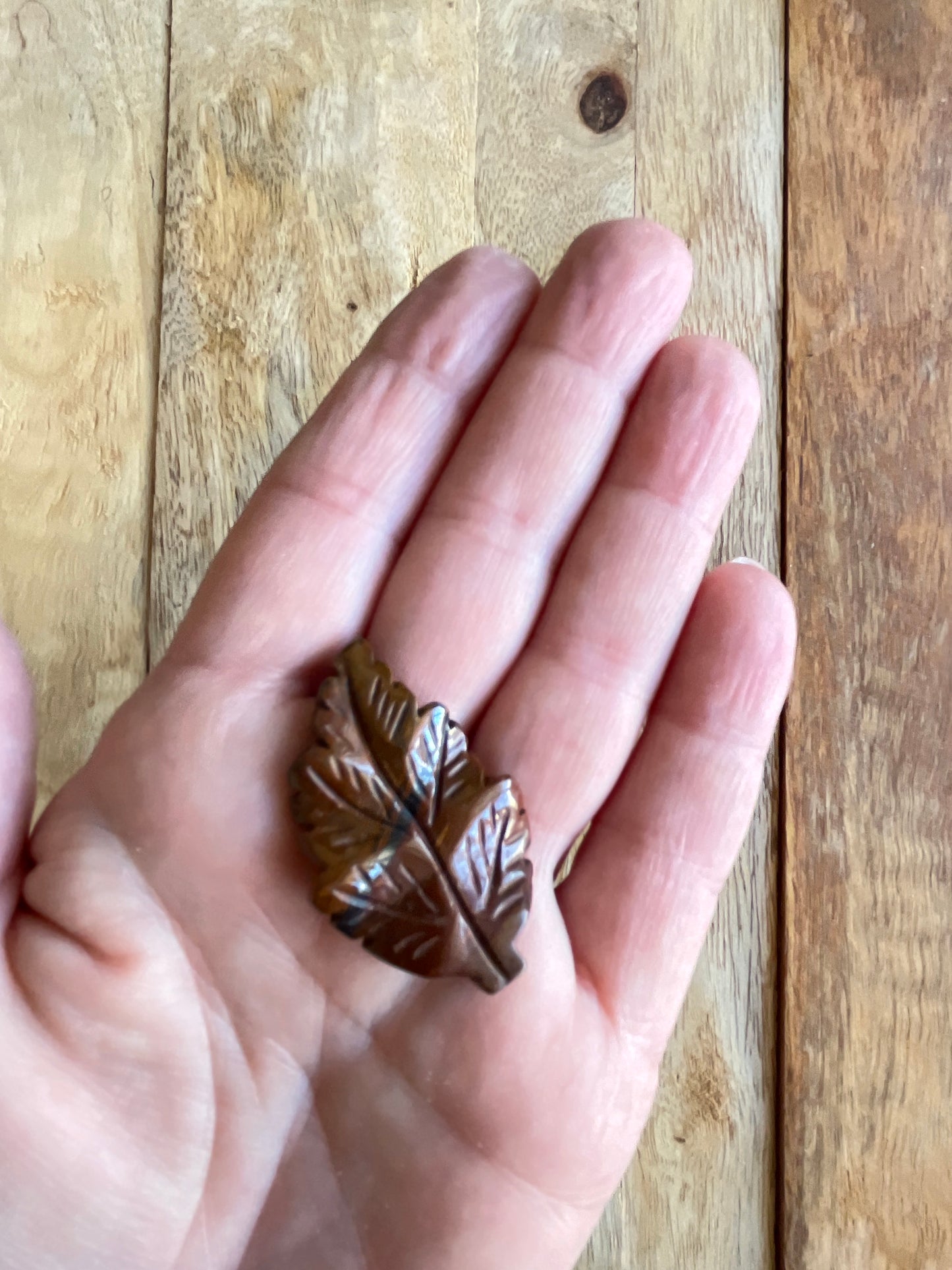 Œil de Fer forme feuille promo 9€