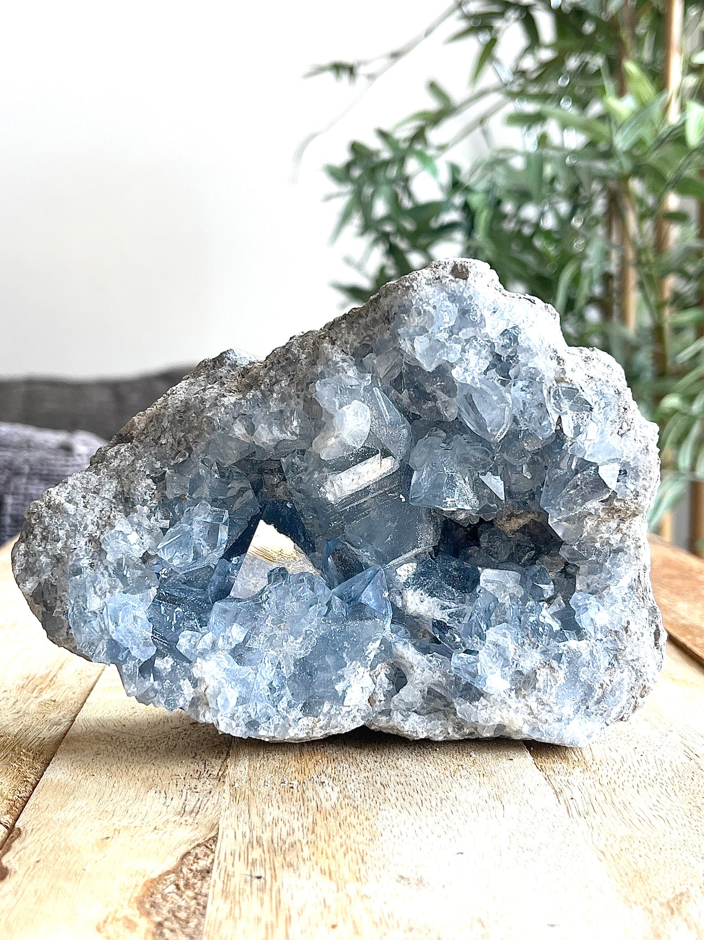 Géode de Célestine Pièce unique N20250-61 110eur 1.580kg