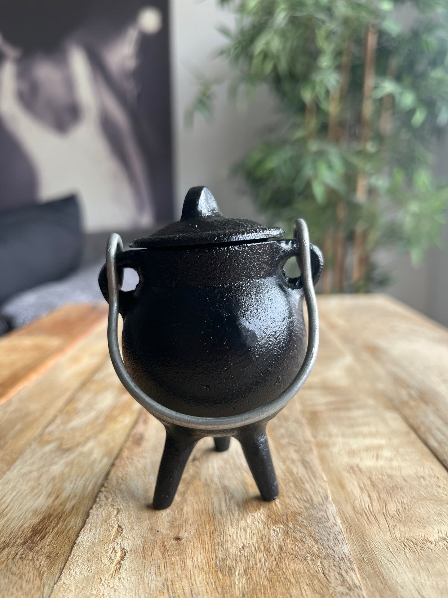 Chaudron avec couvercle 15eur