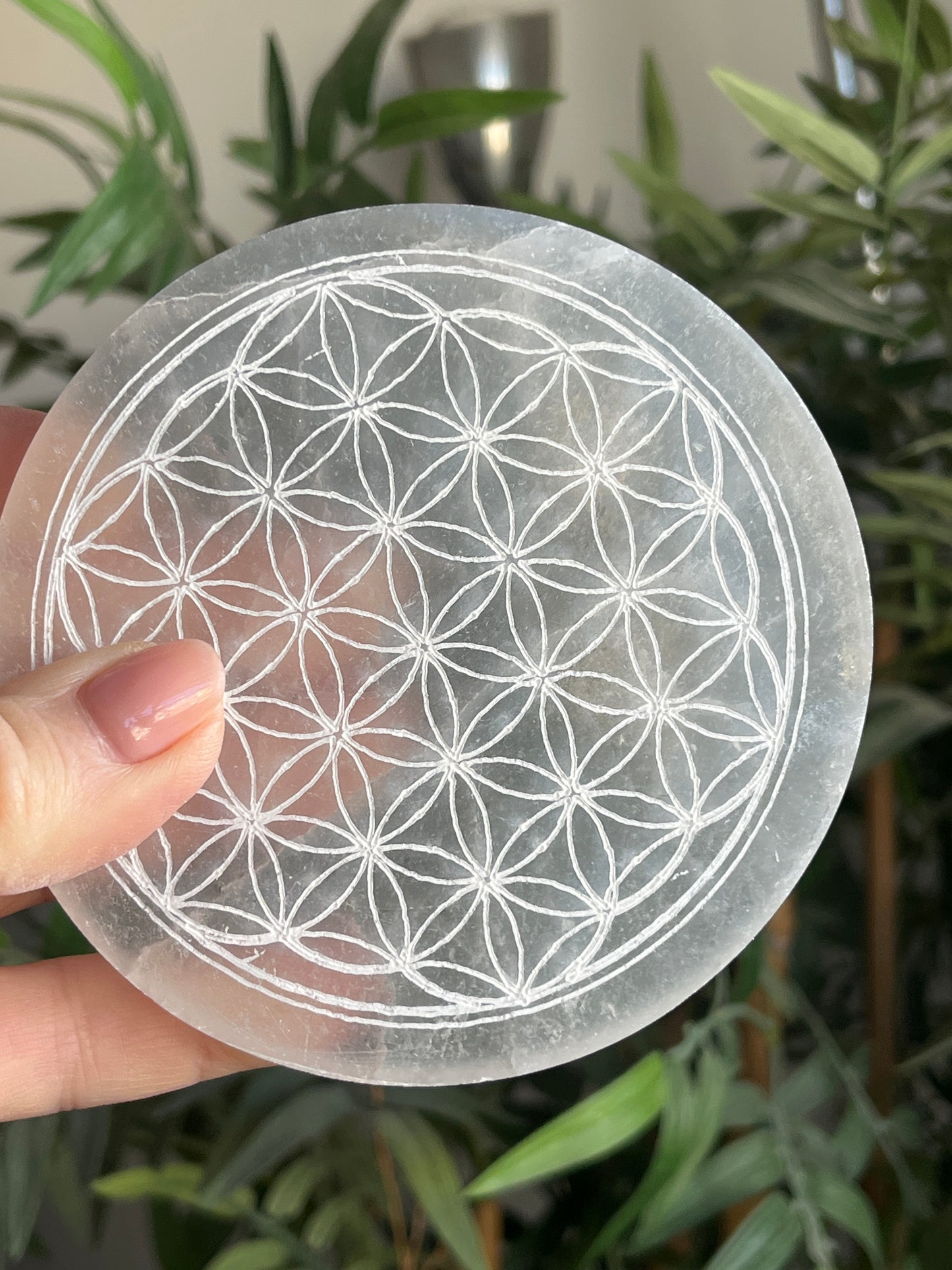 Plaque Sélénite gravée fleur de vie 10cm