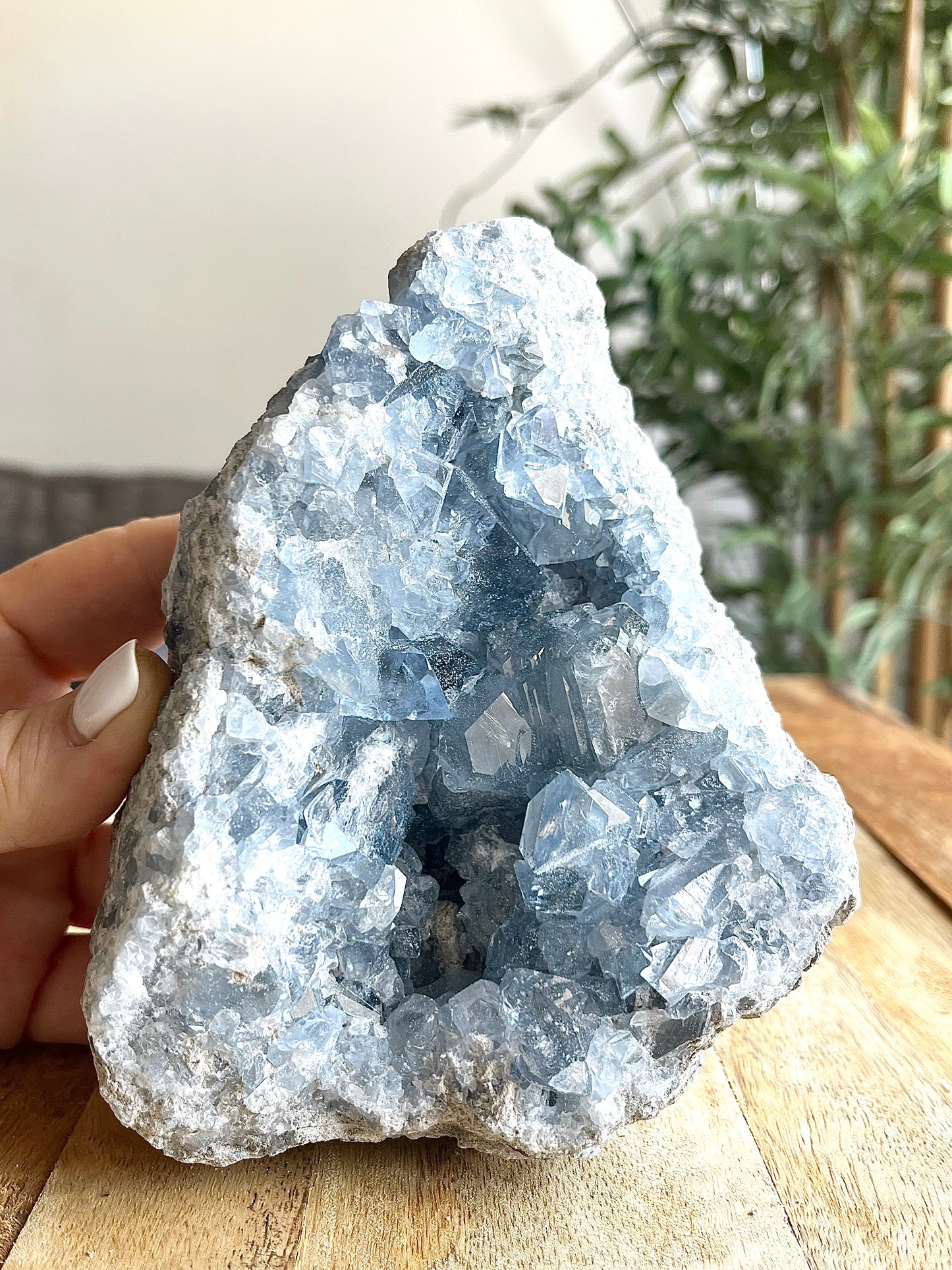 Géode de Célestine Pièce unique N20250-61 110eur 1.580kg