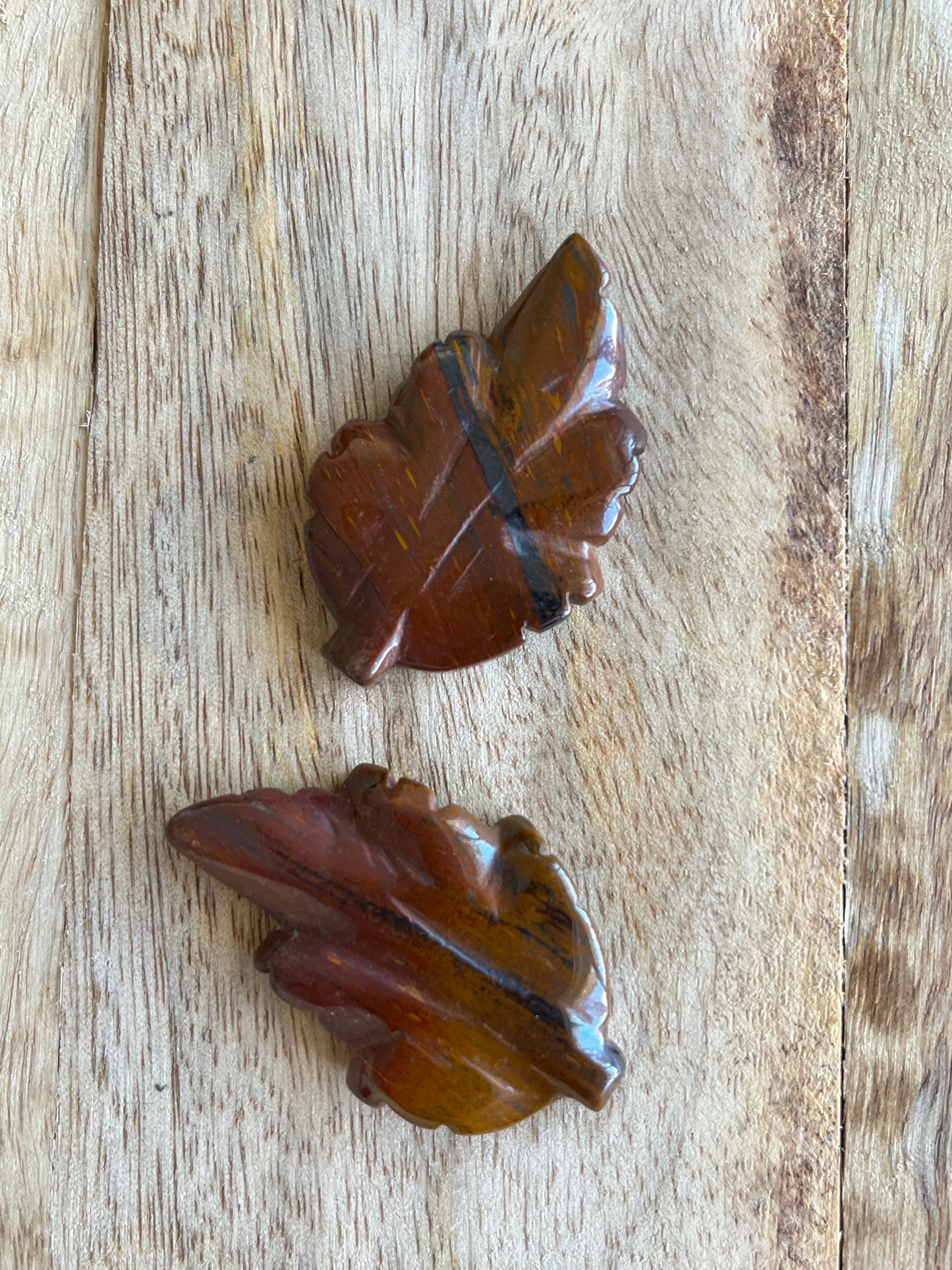 Œil de Fer forme feuille promo 9€