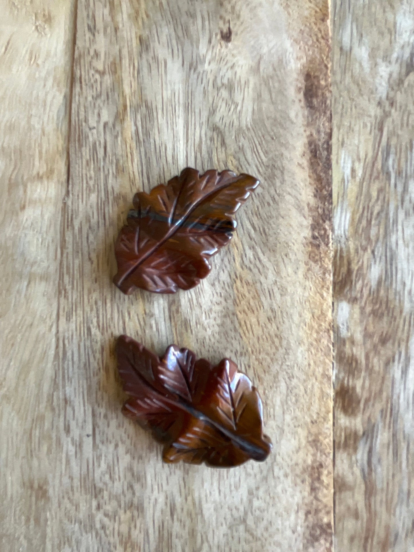 Œil de Fer forme feuille promo 9€