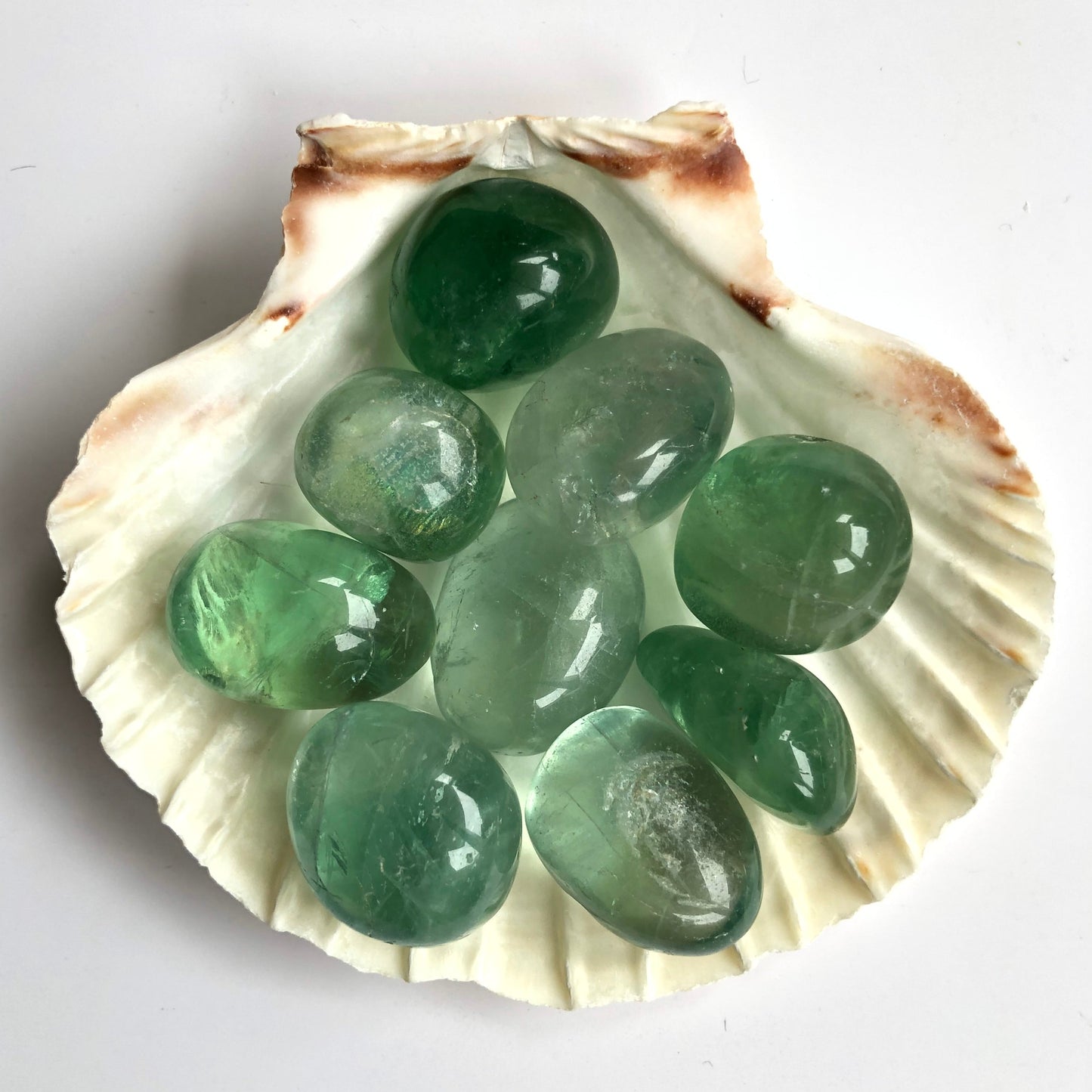 Fluorite Verte Promo 4€