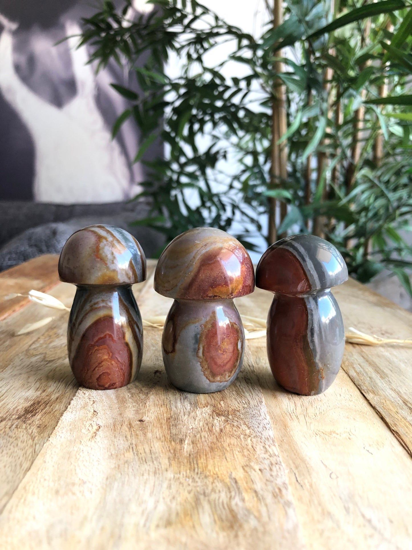 Champignon en Jaspe polychrome Promo 10€