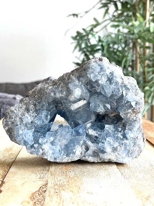 Géode de Célestine Pièce unique N20250-61  110eur 1.580kg