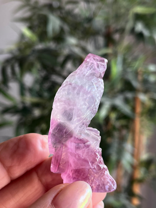 Fluorite aigle sur socle AAA 5.5cm  35eur